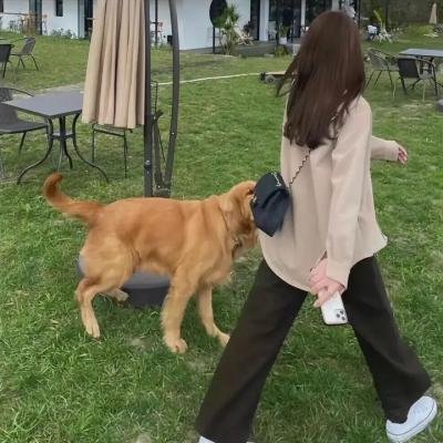 惩戒者